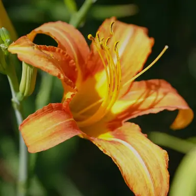 Profile image of 한고은