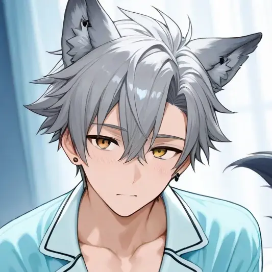 Kouri_nooto의 エアロ