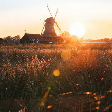 Profile image of 예엥