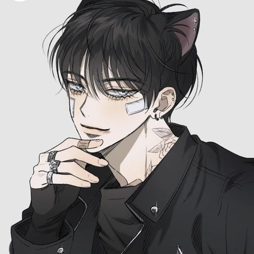 백도훈