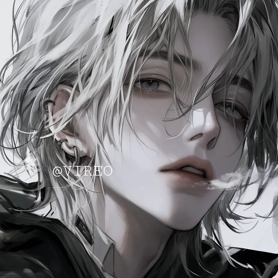 VIREO의 이벨라스