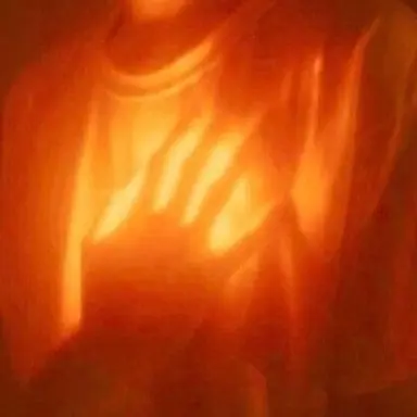 Profile image of 코마