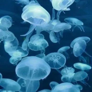 Profile image of 행크