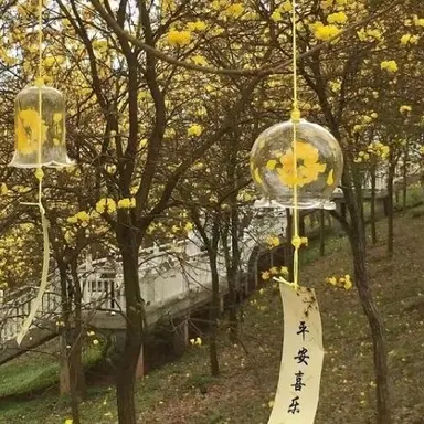 Profile image of 쪼만