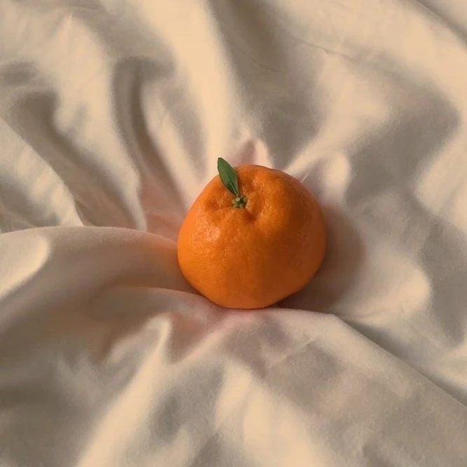 박덕개