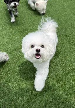 Profile image of 평학