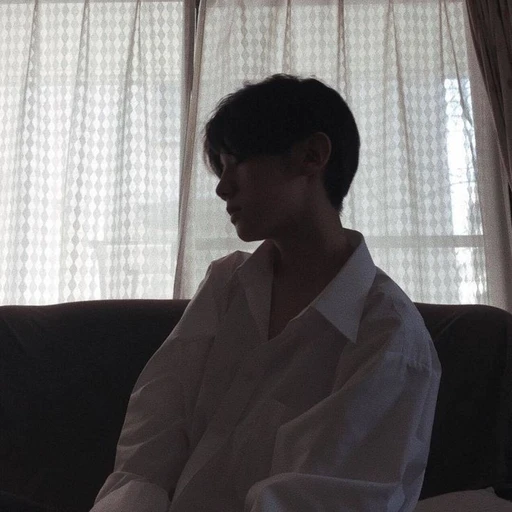 미르