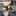 宮侑、宮治、北信介
