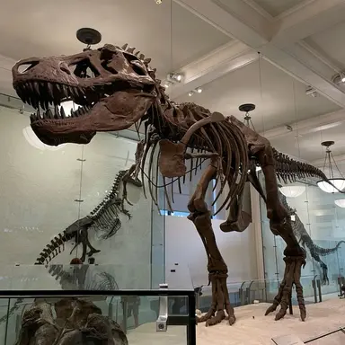 Profile image of 허창현