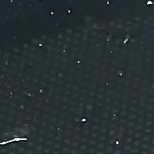 Profile image of 本性