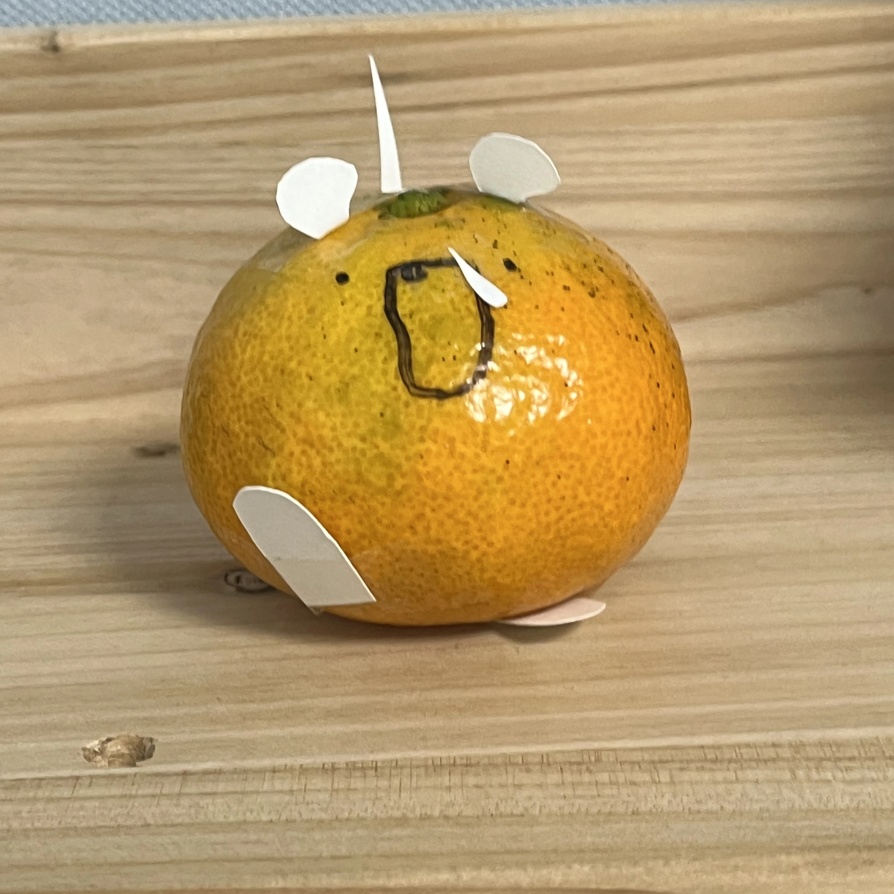 댕귤이
