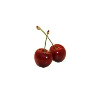 Profile image of 정아라
