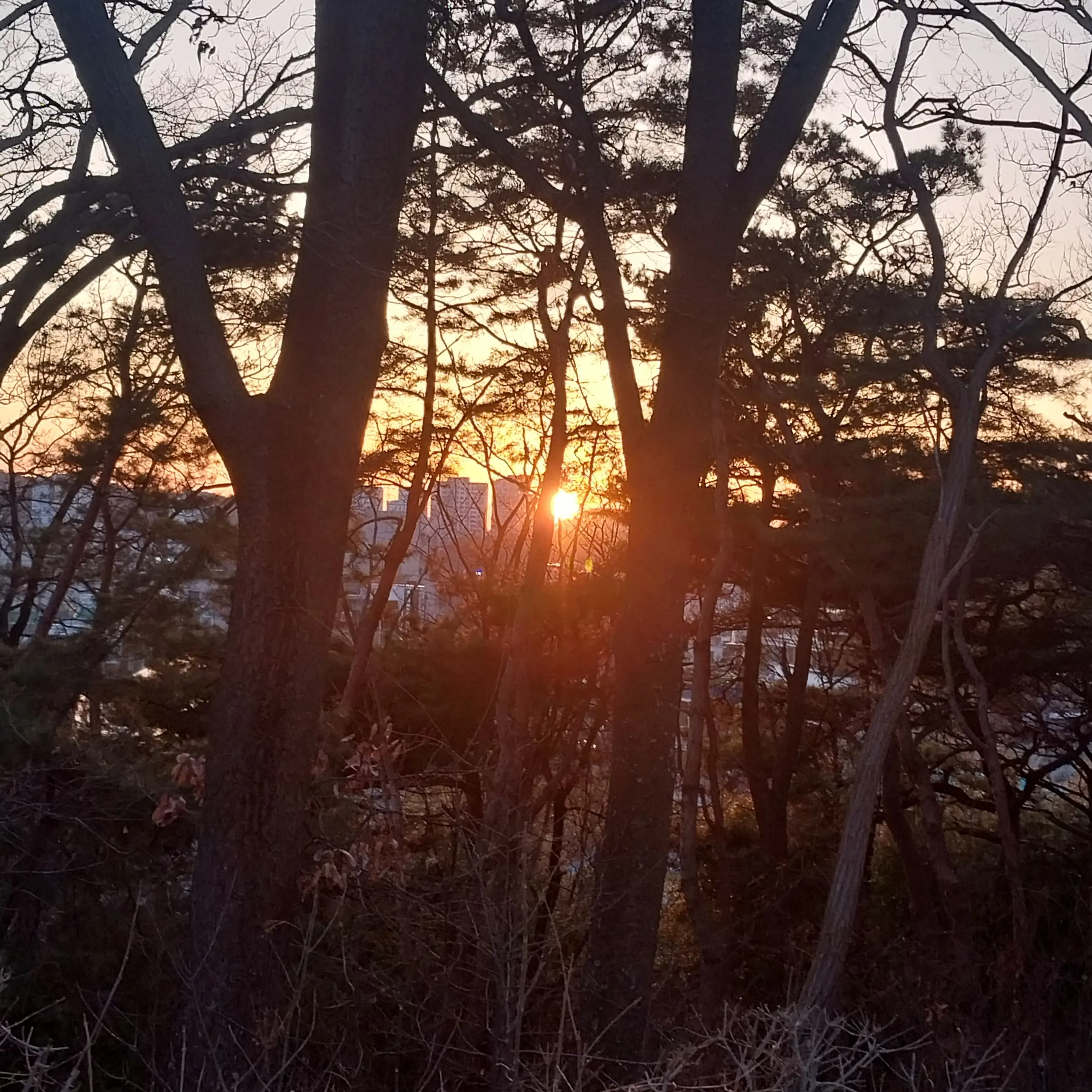 Speh의 친구들이랑 동거!☆