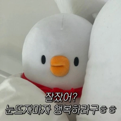 유저