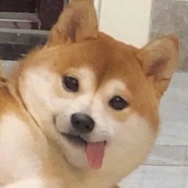 Profile image of ジェヒョン