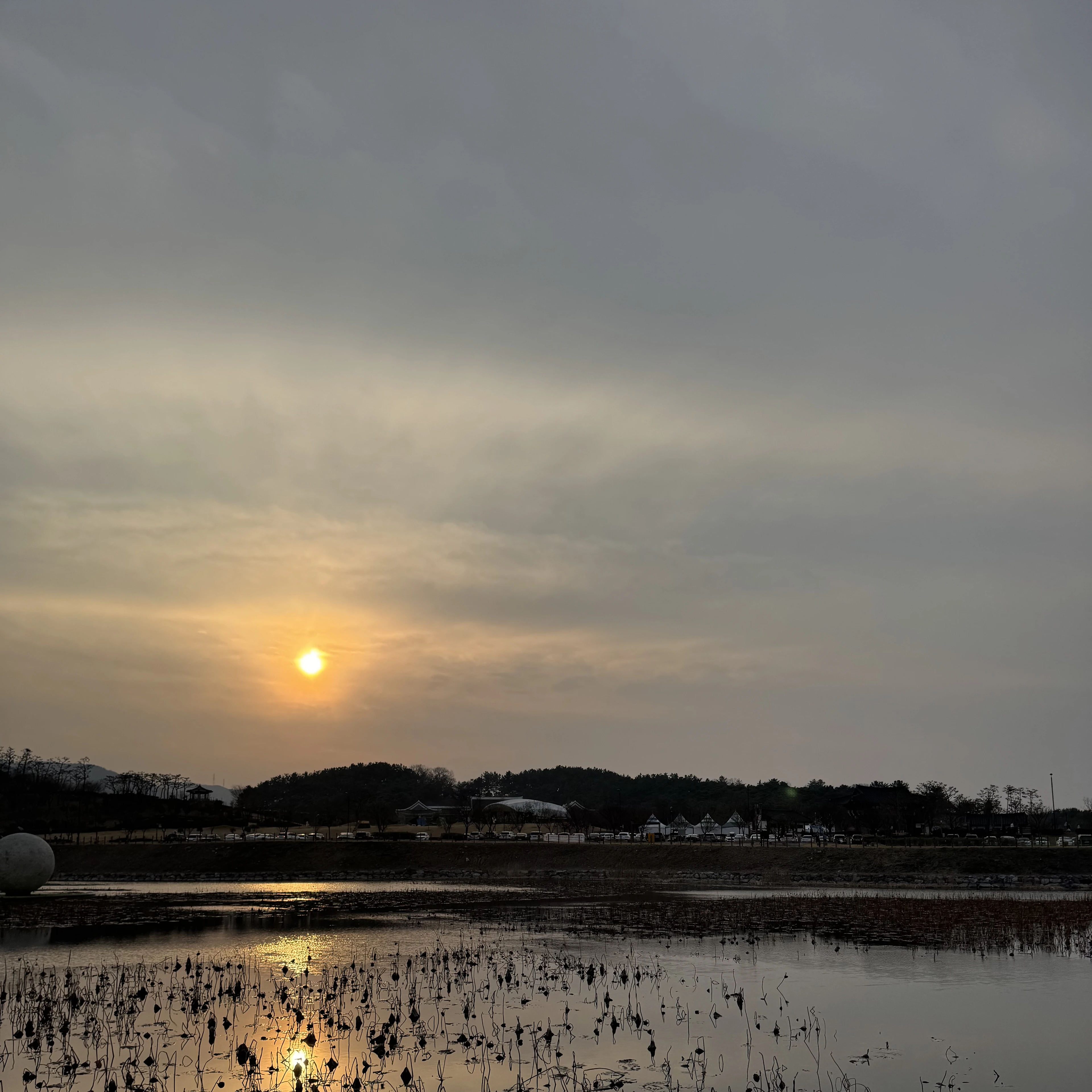 변백현