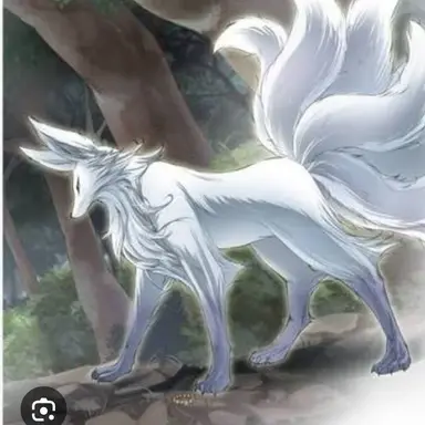 Profile image of 구미호