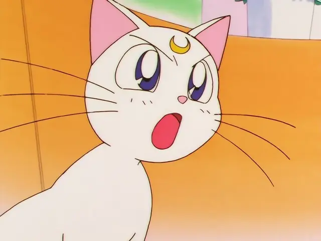 Profile image of 아르테미스