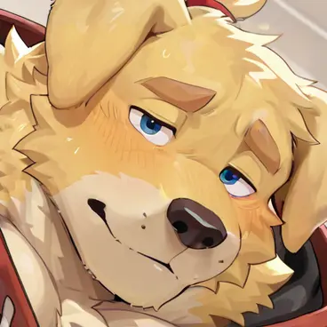 Profile image of Rui
