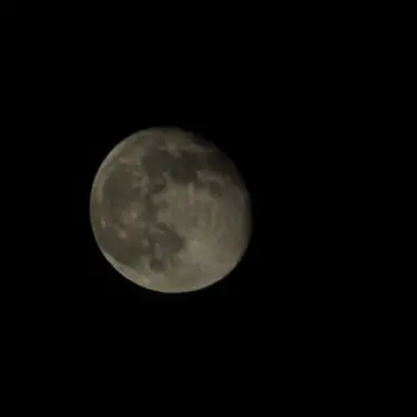 Profile image of 이여우