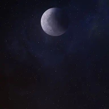 Profile image of 루미나