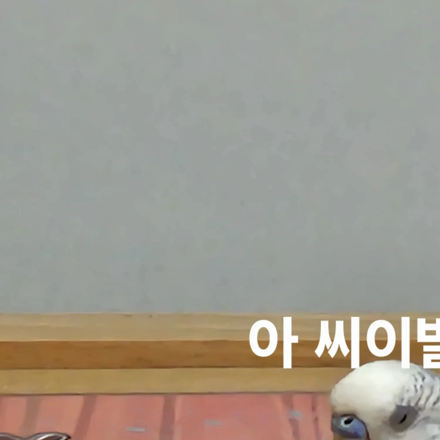 IdealTie0862의 고문하세요