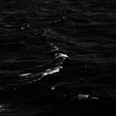 Profile image of 닝이줘