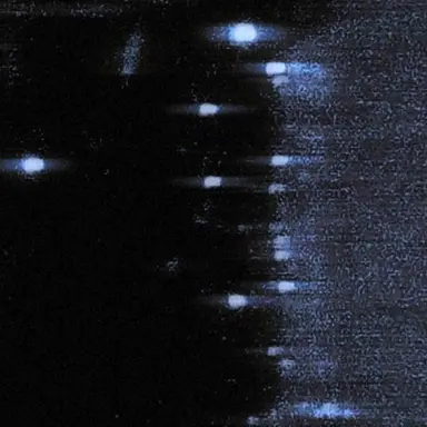 Profile image of 김민정