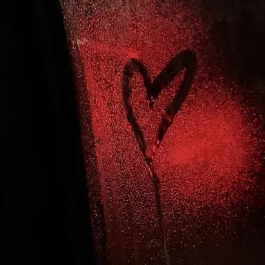 Profile image of 코요 탬페스트