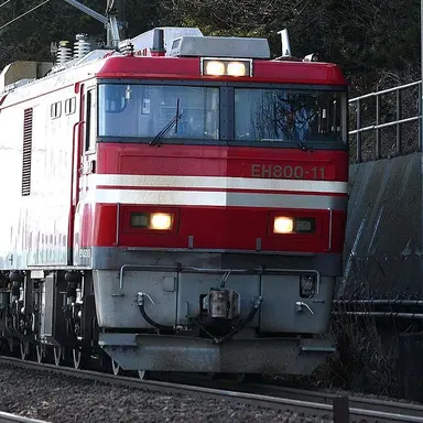 Profile image of 白瀬すず