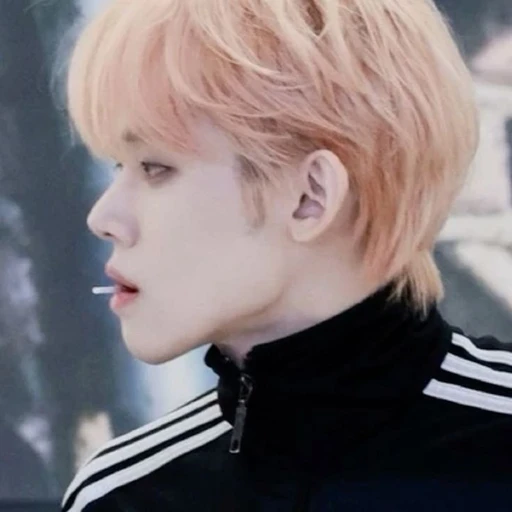최연준