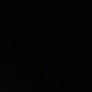 Profile image of 양정인