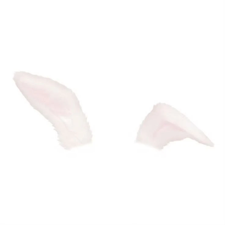 藤澤涼架