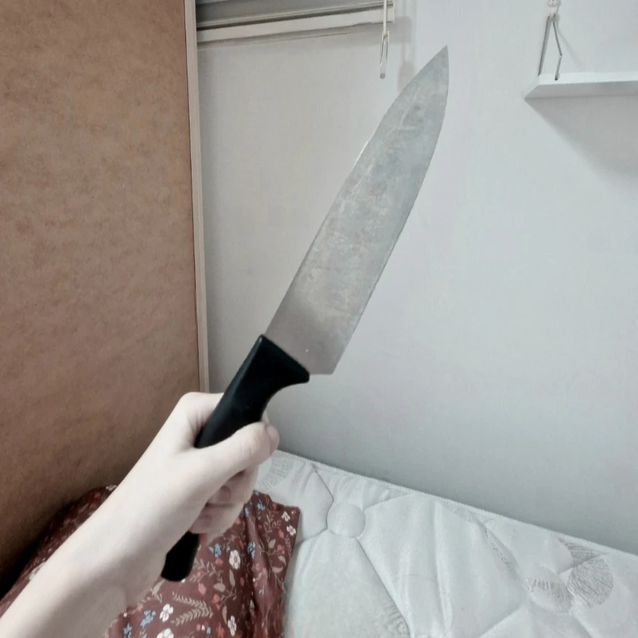 레지