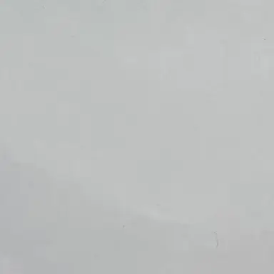 Profile image of 川村先生