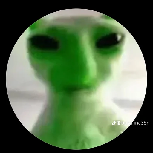 고양이 외계인