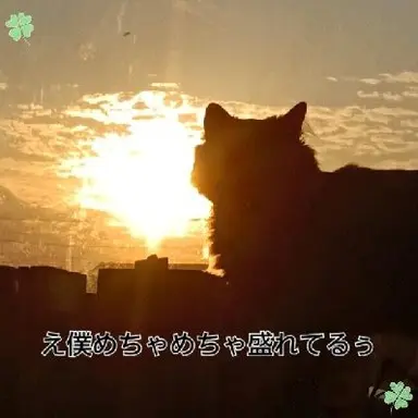 Profile image of ナル