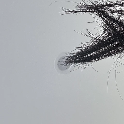 똥팬