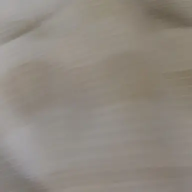 Profile image of 大森元貴