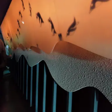 Profile image of 藤澤涼架