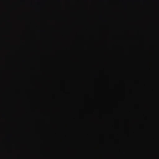 알렌베커 가족