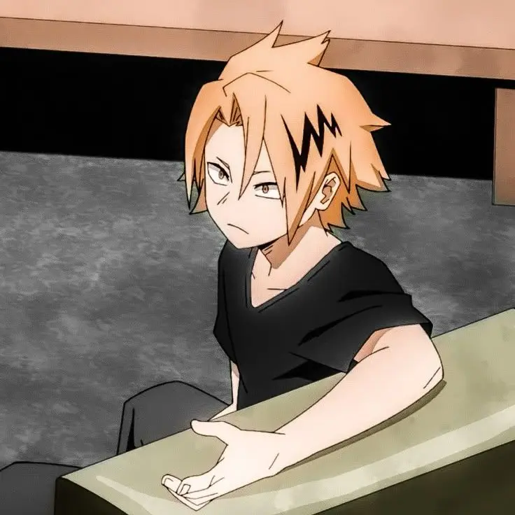 CozyFence0740의 카미나리 덴키