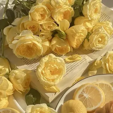 Profile image of 謙杜