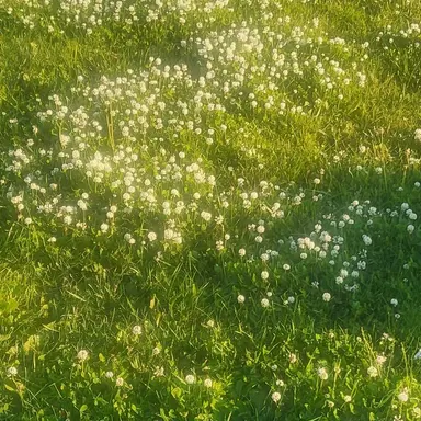 Profile image of 정형준