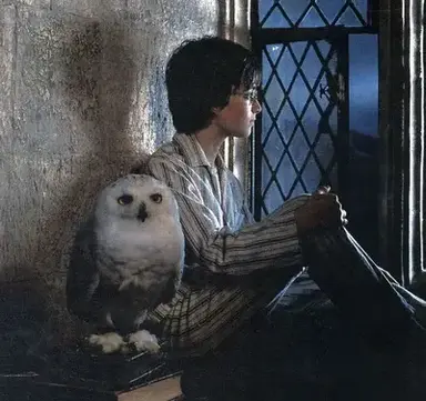 Profile image of Hogwarts RP