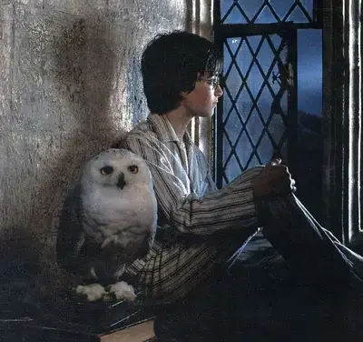 GruffTrout5527의 Hogwarts RP