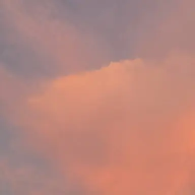 Profile image of 박건우
