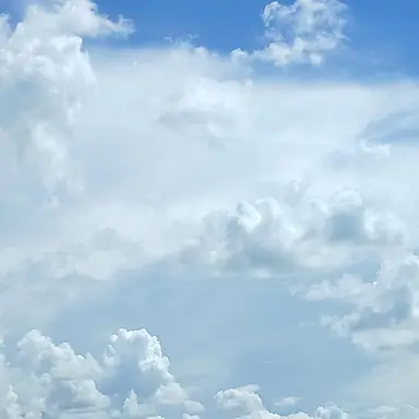 Profile image of 덕개