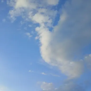 Profile image of 수현