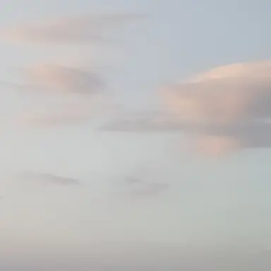 Profile image of 라더